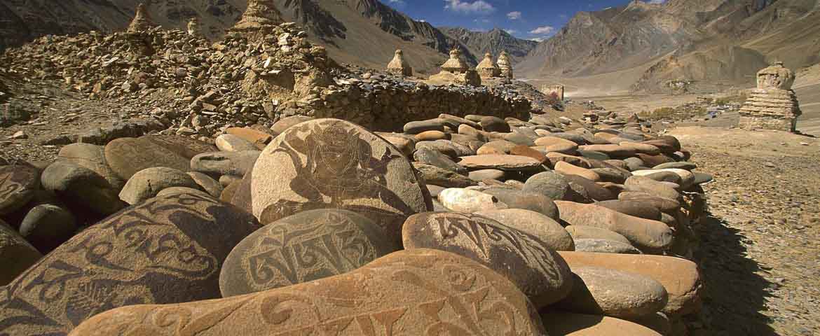 trekking in ladakh