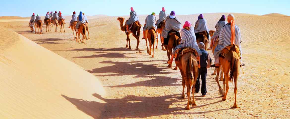 Camel Safari in India